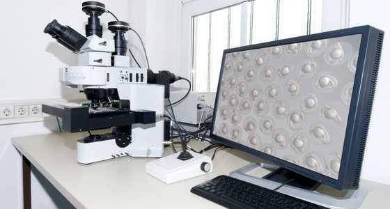 Metallurgical Analysis